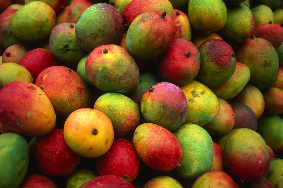 WHAT'S THE SKINNY ON AFRICAN MANGO & WEIGHT LOSS?
